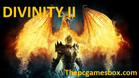 Jogo para PC Divinity II