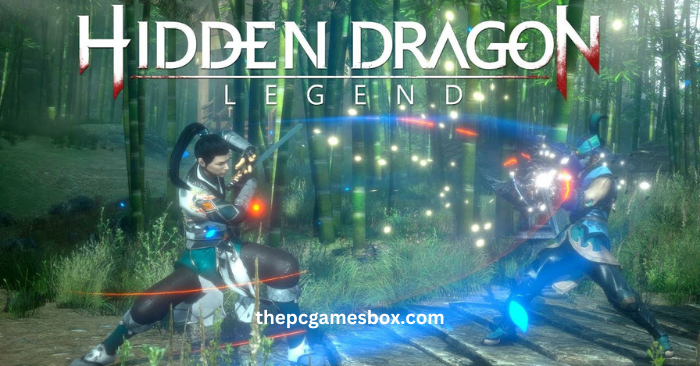 Hidden Dragon Legend cover